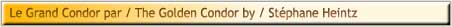 Le Grand Condor par / The Golden Condor by / St�phane Heintz